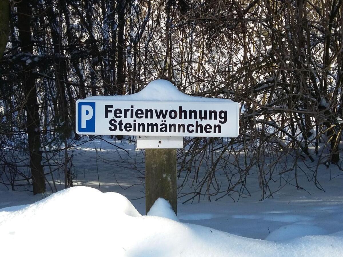 Steinmaennchen Ferienwohnung ゴスラー エクステリア 写真
